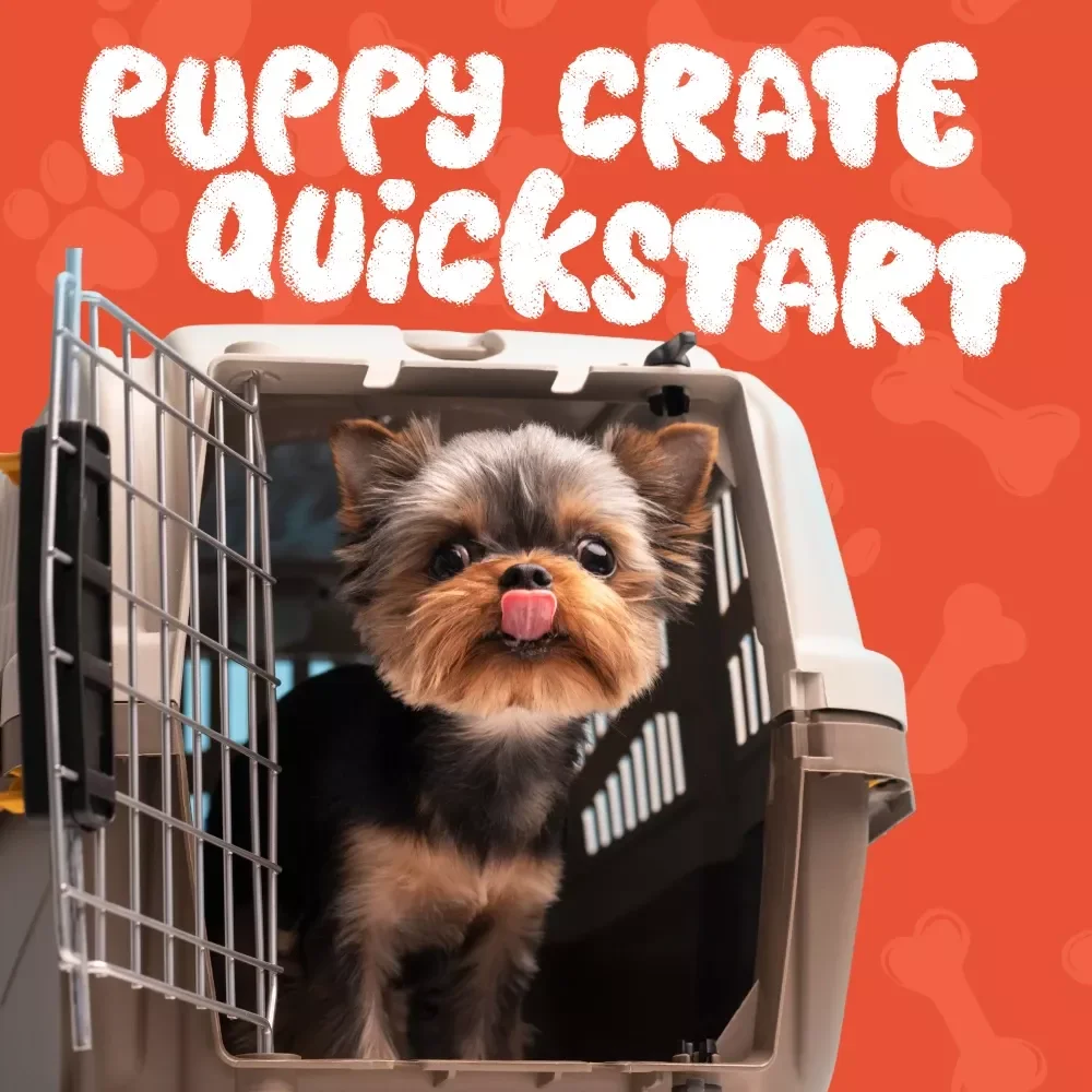 Puppy Crate Quickstart: Essential Guide to Crate Training Your Puppy