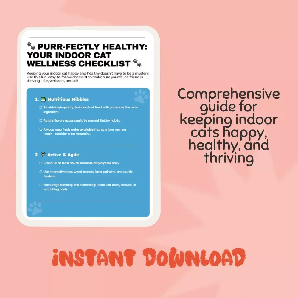Purr-fectly Healthy: Your Indoor Cat Wellness Checklist - Expert Tips for Keeping Indoor Cats Healthy