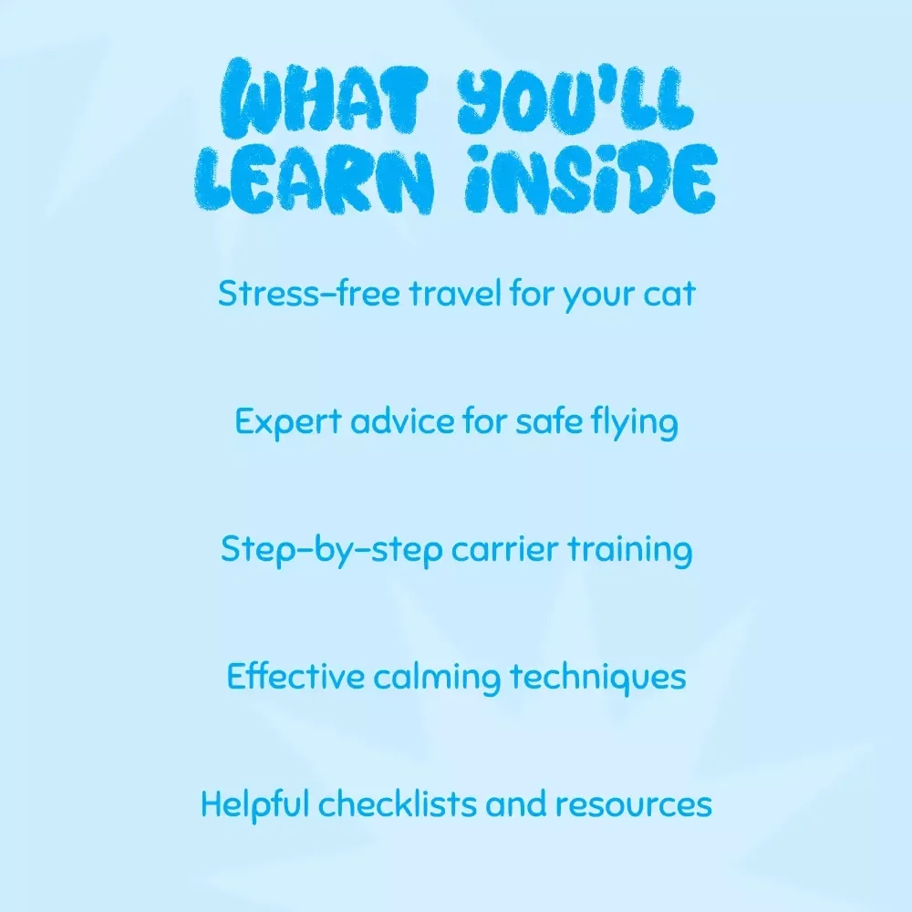 Tips for Flying with Cats Safely: Your Essential Guide for Stress-Free Travel with Cats