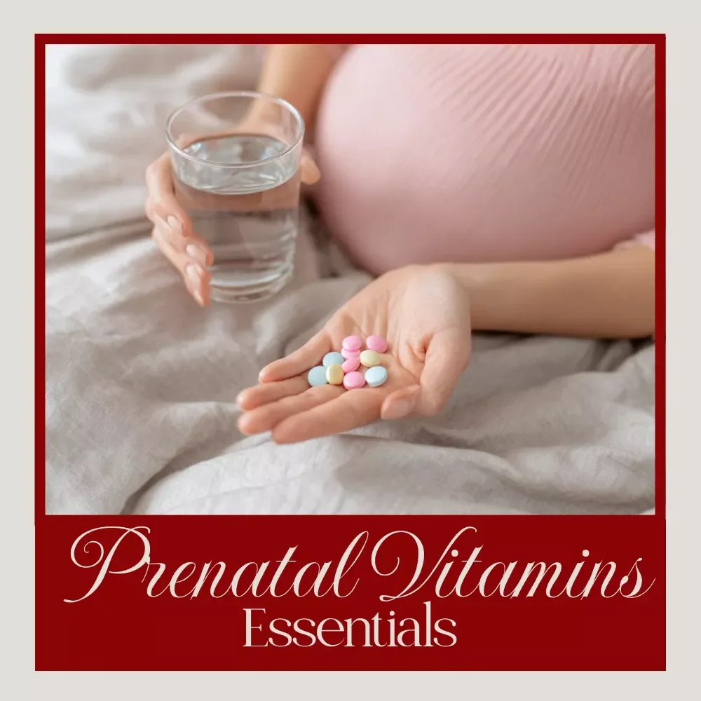 Prenatal Vitamins Essentials Checklist | Digital Download Guide for Moms-to-Be | Printable Pregnancy Wellness eBook