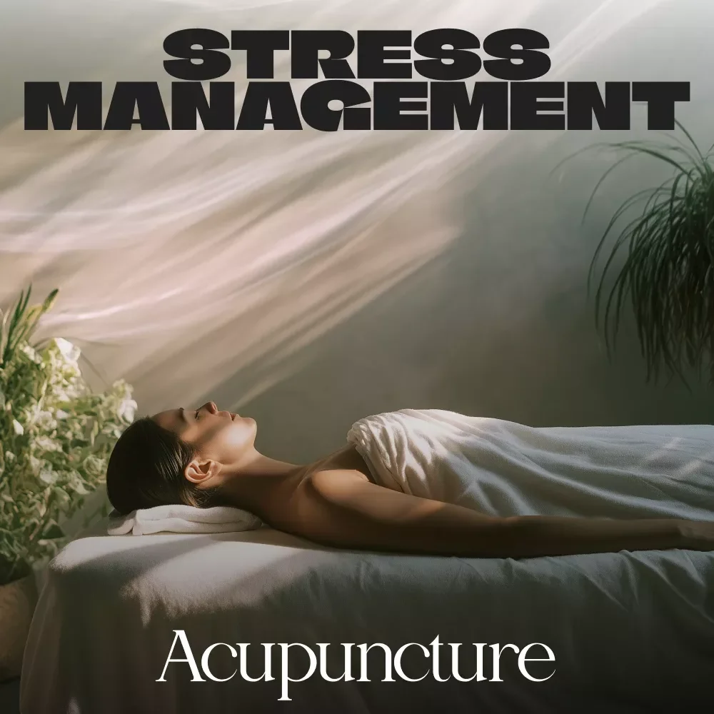 Stress Management Acupuncture | Digital Guide for Natural Stress Relief, Nervous System Balance, and Mind-Body Wellness
