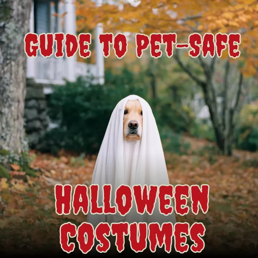 Paws & Pumpkins: Guide to Pet-Safe Halloween Costumes | How to Do Pet-Safe Halloween Costumes | DIY Pet Costume Ideas & Safety Tips eBook