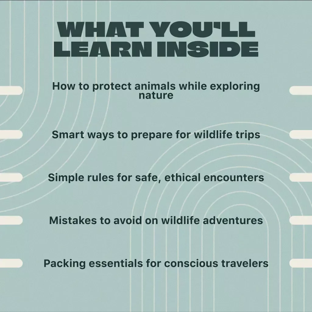 Responsible Wildlife Watching Guide | Ethical Travel eBook for Animal Lovers, Conservationists & Eco-Friendly Adventurers | Digital Download