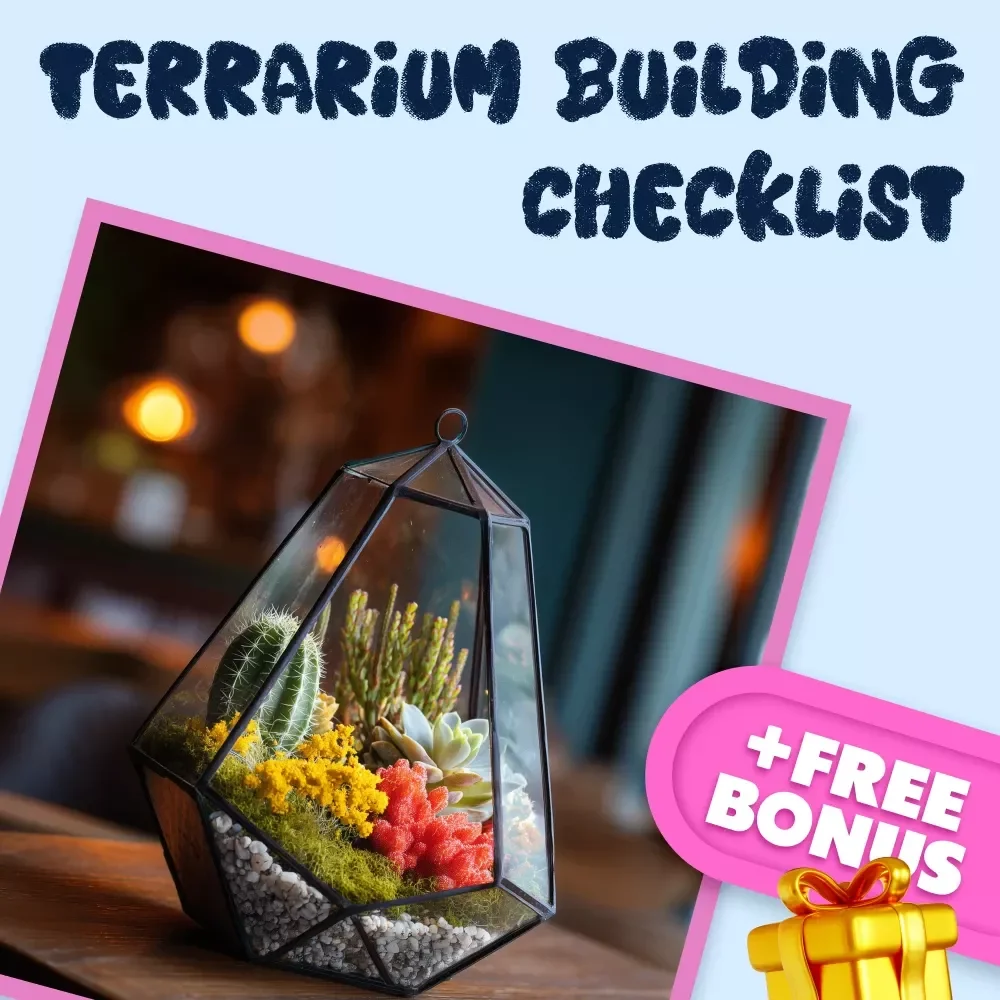 Terrarium Building Checklist | Digital Download Guide for DIY Indoor Garden, Succulent Care & Easy Plant Decor