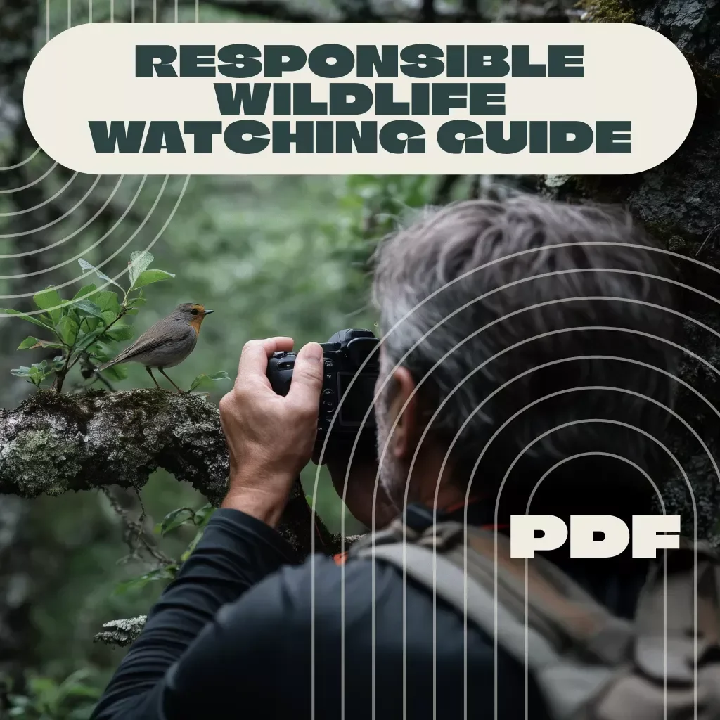 Responsible Wildlife Watching Guide | Ethical Travel eBook for Animal Lovers, Conservationists & Eco-Friendly Adventurers | Digital Download