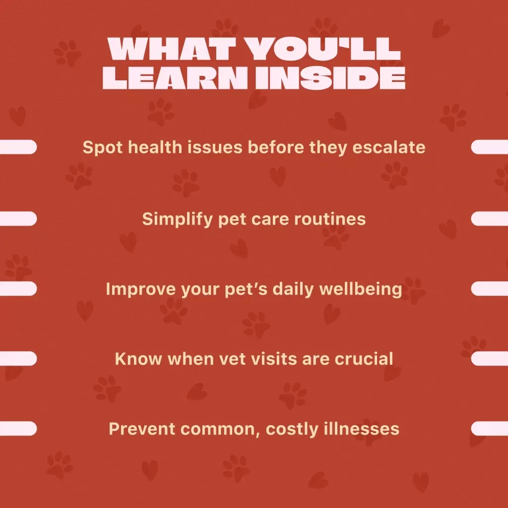 Guide to Common Pet Health Issues & Prevention | Digital Pet Health Guide, Preventive Pet Care eBook, Pet Illness Checklist, Vet Tips Download