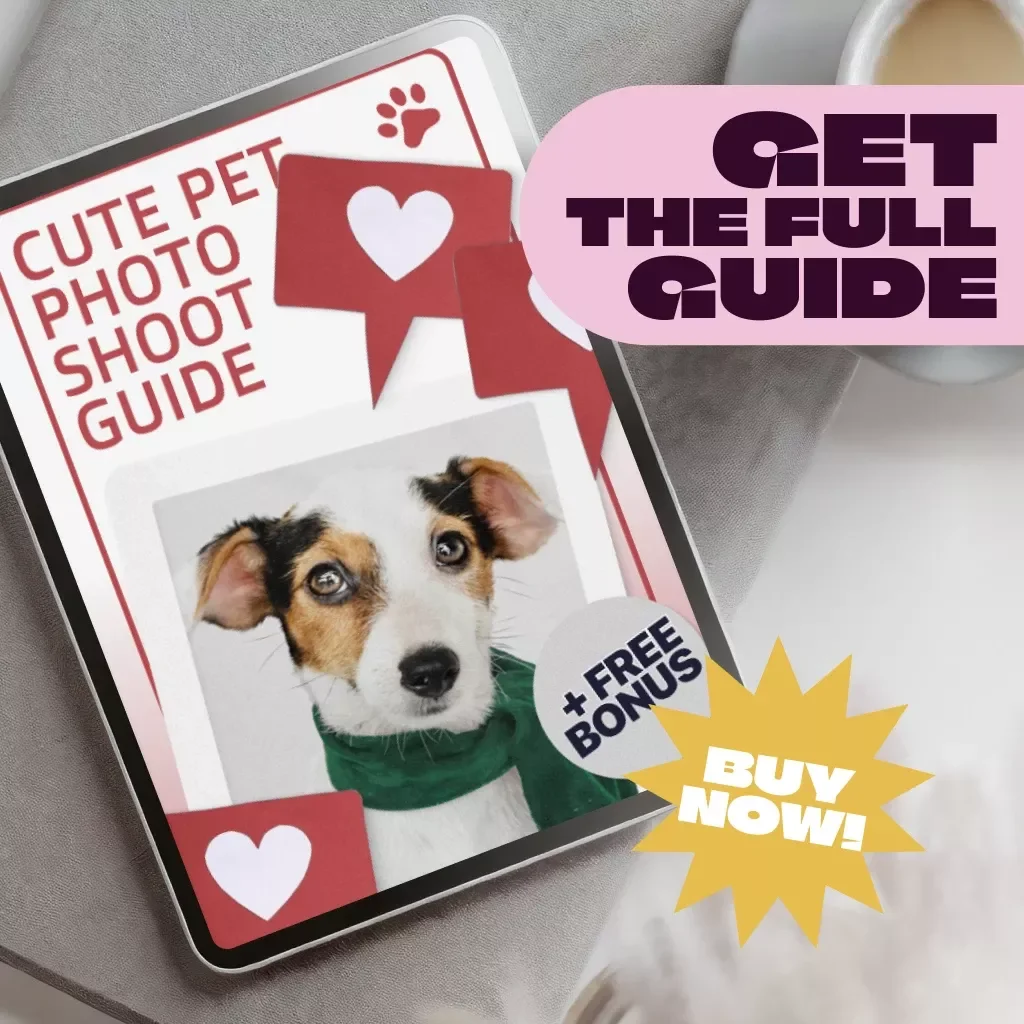 Cute Pet Photo Shoot Guide | Pet Photography eBook, Pet Photo Checklist, How to Take Cute Pet Photos, Digital Download