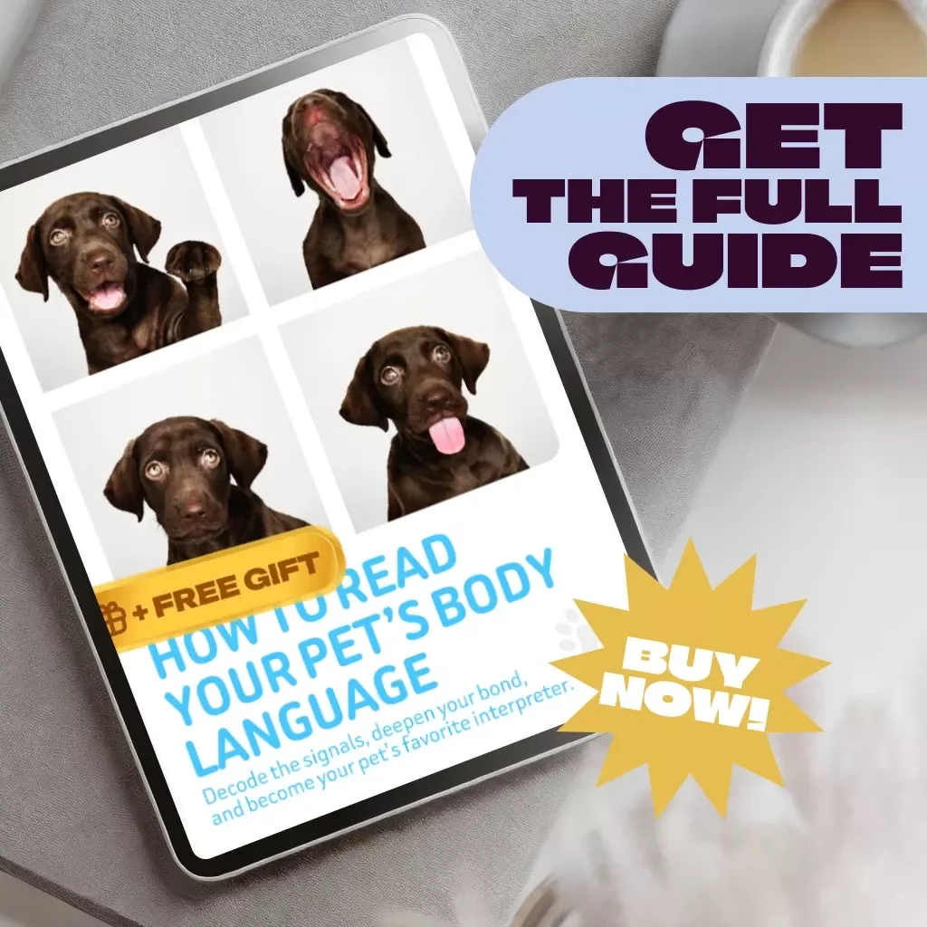 How to Read Your Pet’s Body Language | Digital Pet Guide for Understanding Animal Behavior, Pet Communication Checklist, eBook for Dog & Cat Owners