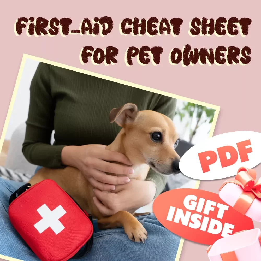First-Aid Cheat Sheet for Pet Owners | Printable Pet First Aid Checklist | Digital Download for Dog & Cat Emergencies | Vet-Approved Guide for Pet Parents