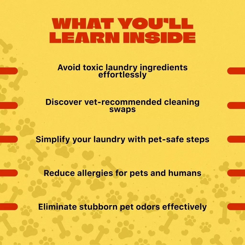 Guide to Pet-Safe Laundry Routines | Pet-Friendly Laundry Tips eBook | Digital Download for Pet Owners | Safe Detergents, Laundry Checklist, and Routine