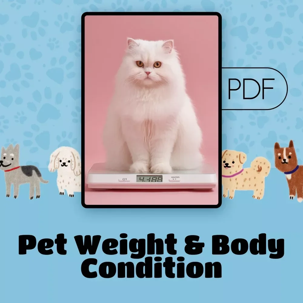 Pet Weight & Body Condition Checklist | Digital Pet Health Guide | Vet-Approved Pet Body Condition Score Tracker for Cats & Dogs