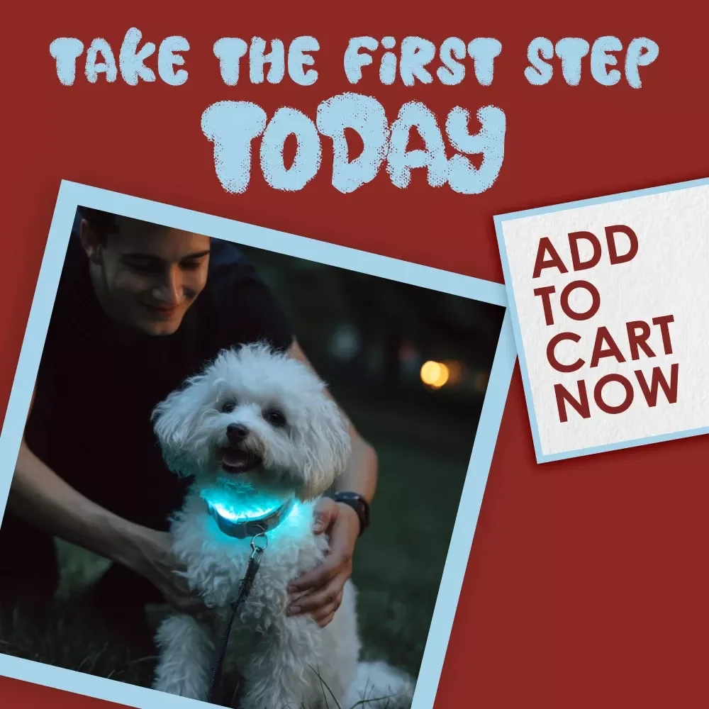 Safety Checklist: Outfits & Accessories for Pet Walks | Dog Walking Checklist | Pet Walking Essentials Guide | Digital Download