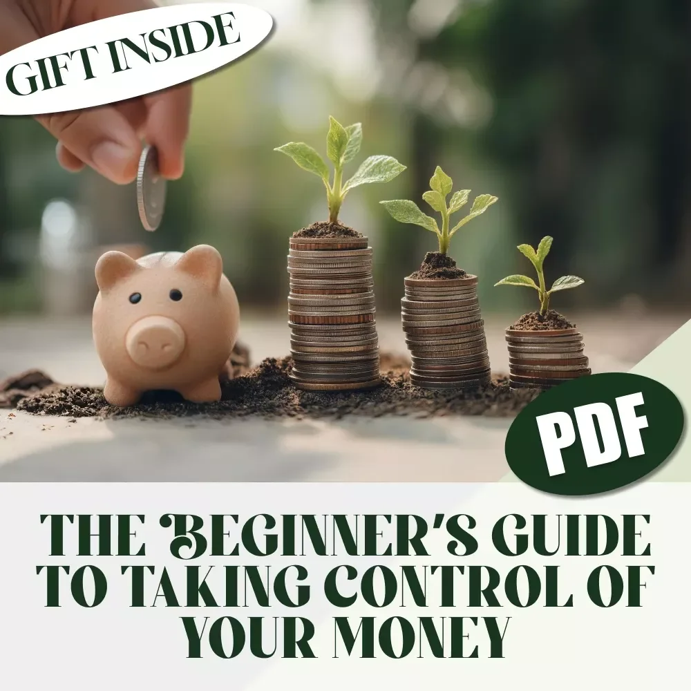 The Beginner’s Guide to Taking Control of Your Money | How to Create a Budget for Beginners | Budgeting Basics Digital Download