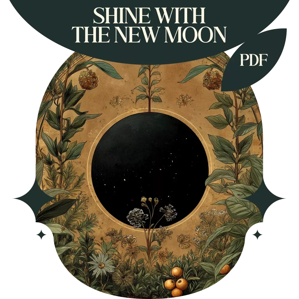 Shine with the New Moon: A Beginner’s Guide to Setting Intentions – New Moon Intention Ideas for Beginners Digital Guide