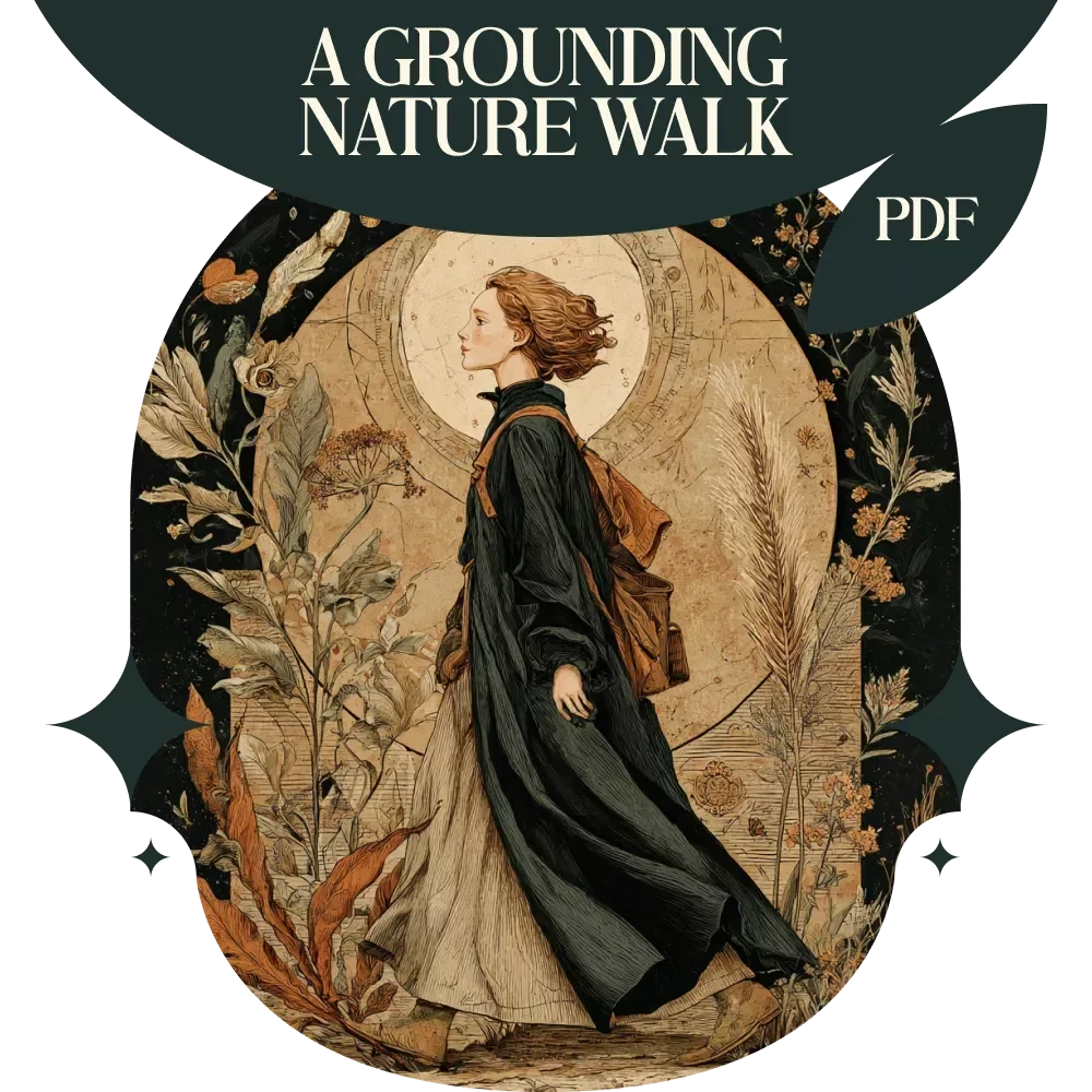 A Grounding Nature Walk Checklist – Simple Grounding Routine Using Nature Walks for Mindfulness and Emotional Balance