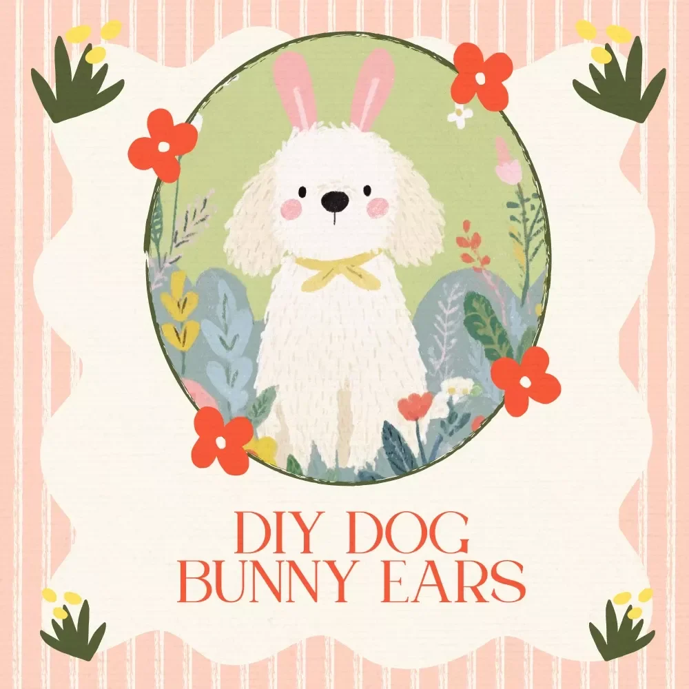 DIY Dog Bunny Ears Guide for Photos – Easter Fun for Your Pup