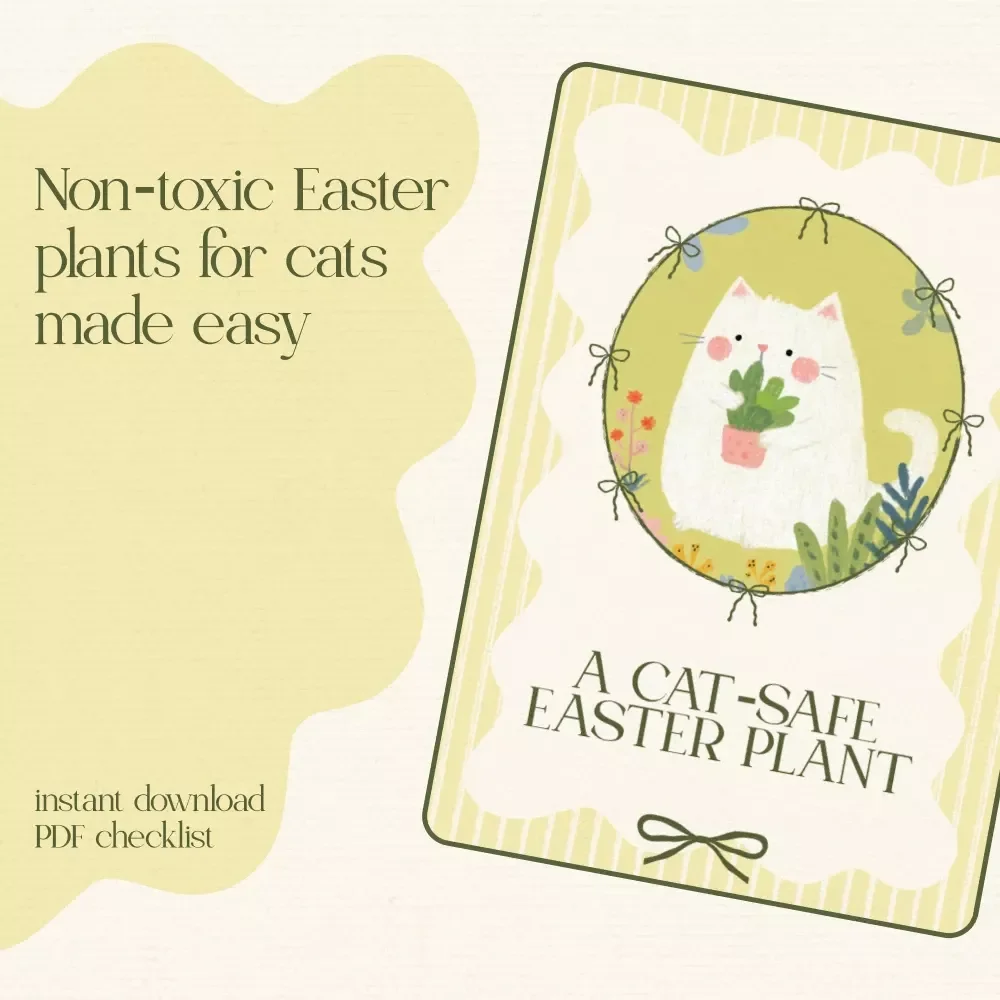 A Cat-Safe Easter Plant: Your Essential Guide to Non-Toxic Easter Plants for Cats