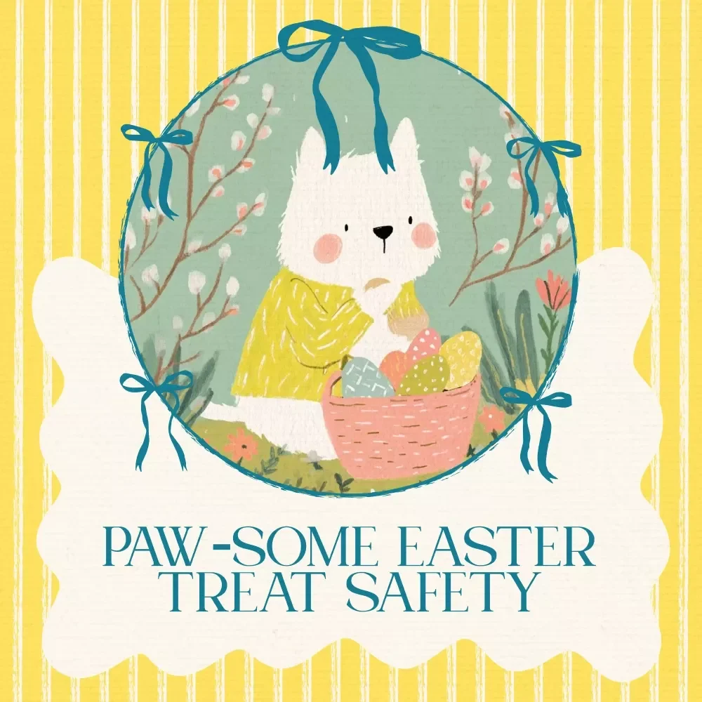 Paw-some Easter Treat Safety: Your Essential Guide for Safe Easter Treats for Dogs