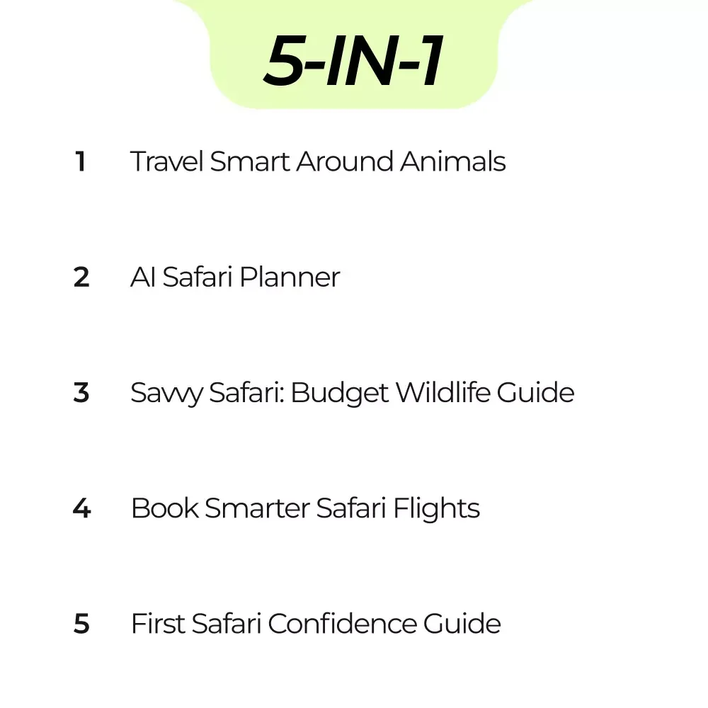 Your Toolkit to Explore the Wild with a Clear Conscience – Ethical Animal Tourism Guide