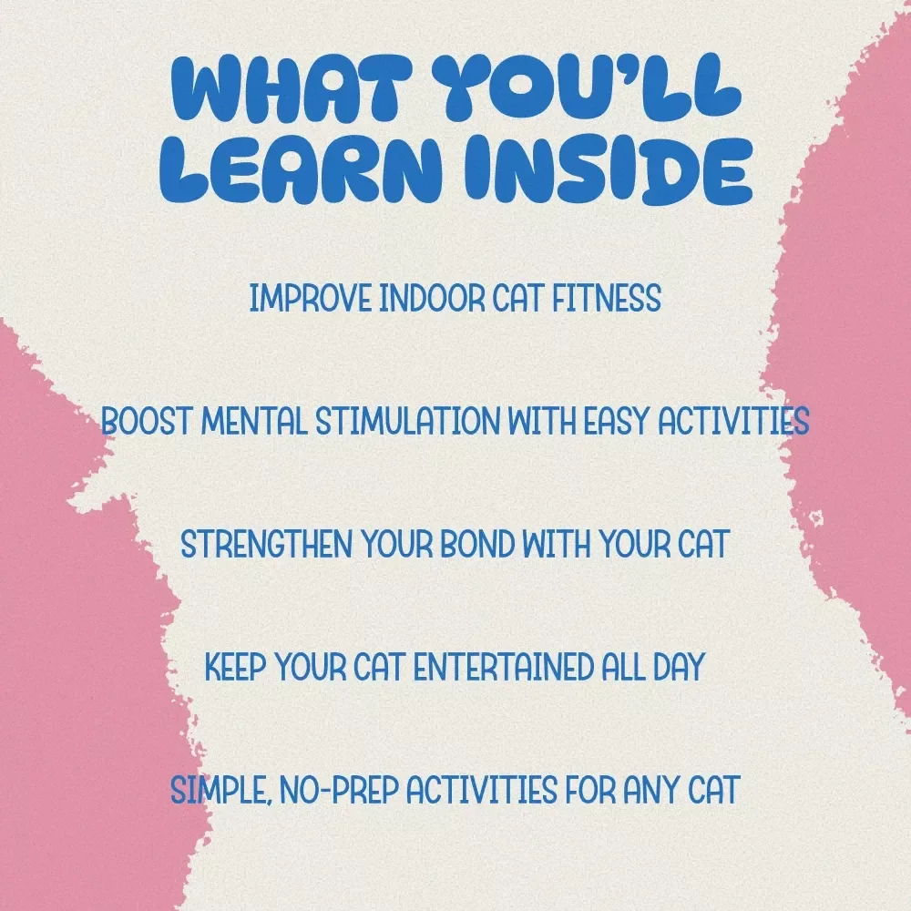 Cat Exercise Pack for a Vibrant, Active Lifestyle - 3-in-1 Bundle of Cat Exercise Checklists