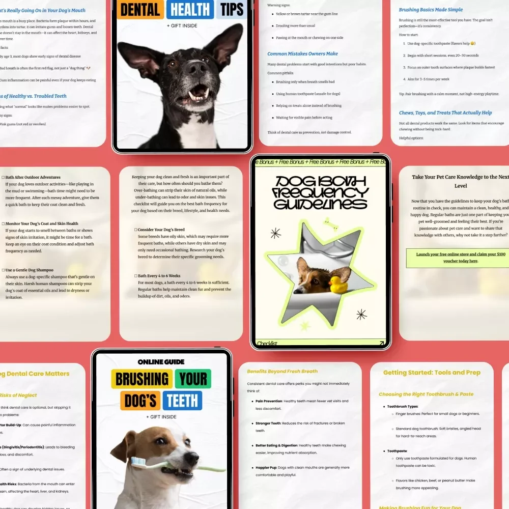Starter Bundle For Dog Hygiene: 5-in-1 Bundle of Guides & Checklists
