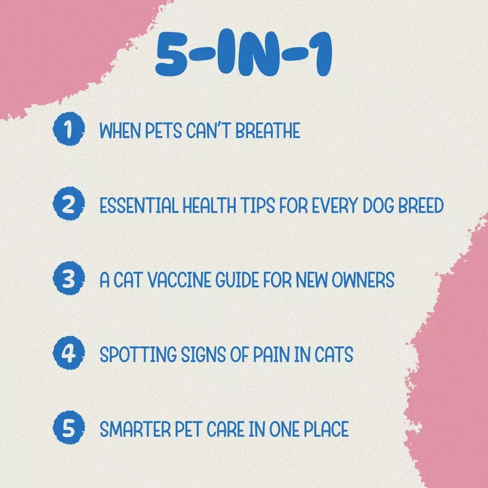 Complete Pet Health Bundle for Every Owner - 5-in-1 Digital Download