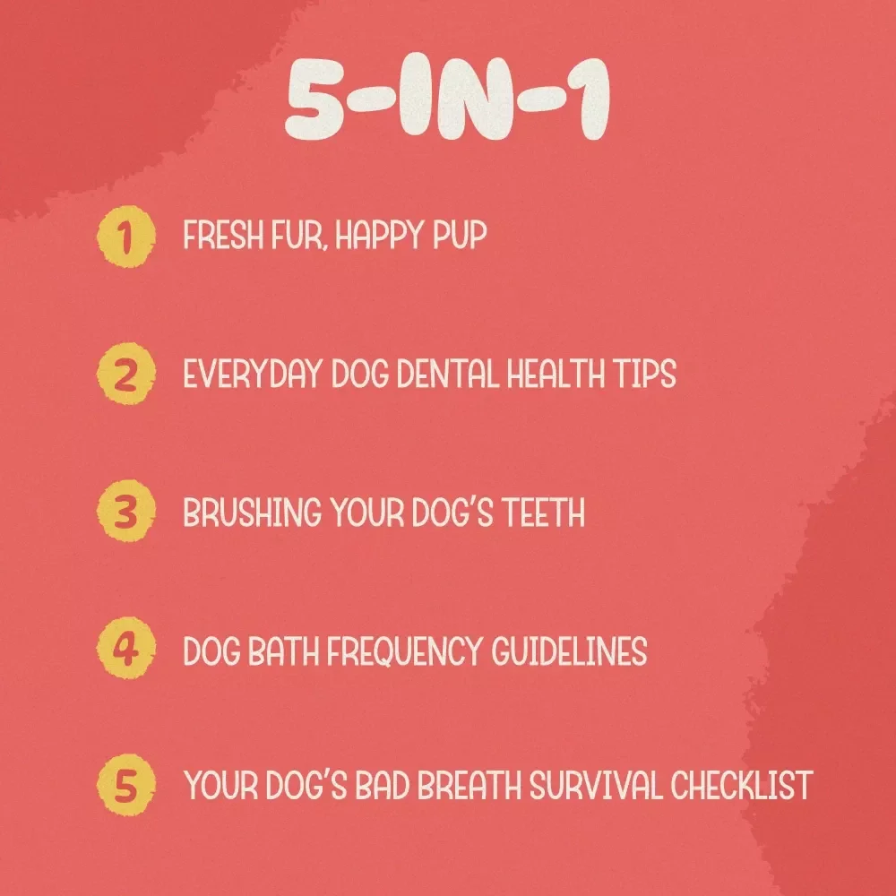 Starter Bundle For Dog Hygiene: 5-in-1 Bundle of Guides & Checklists