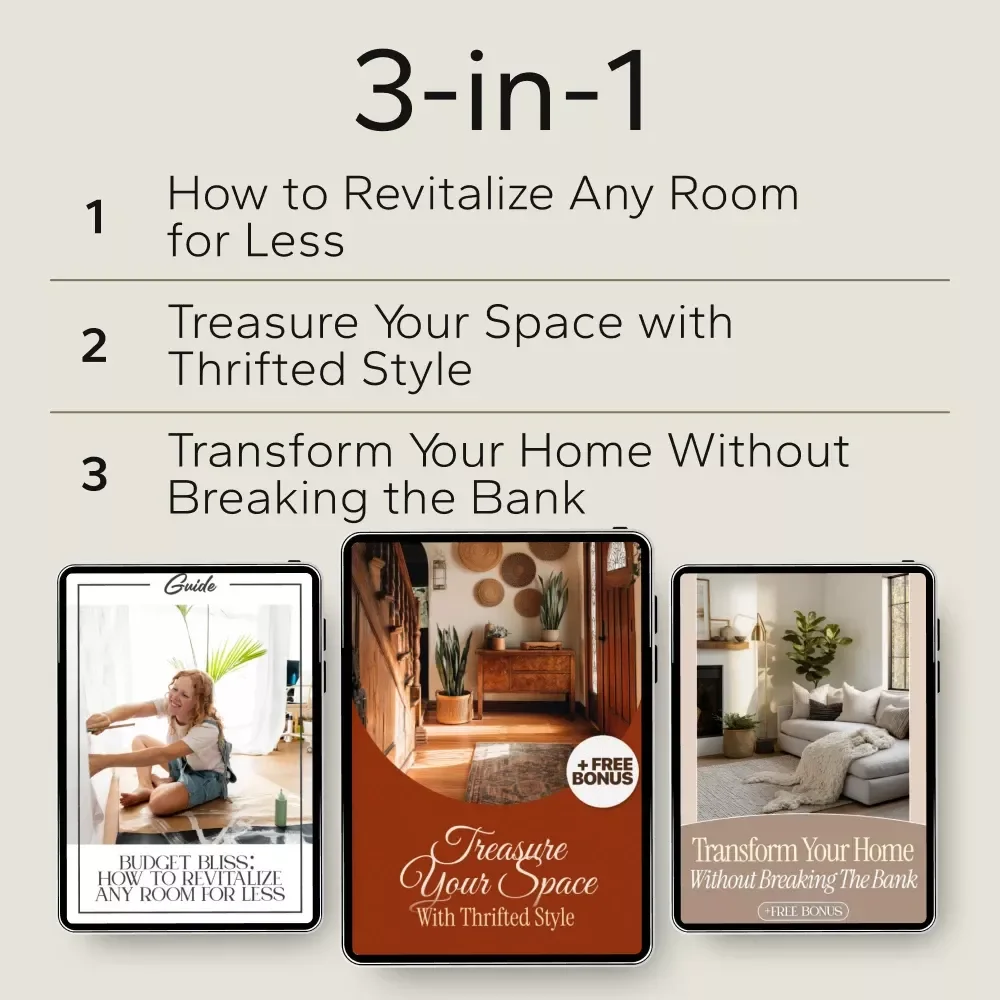 Affordable Ideas for a Fresh-Looking Room: 3 in 1 Bundle - Budget Bliss, Thrifted Style, Home Transformation