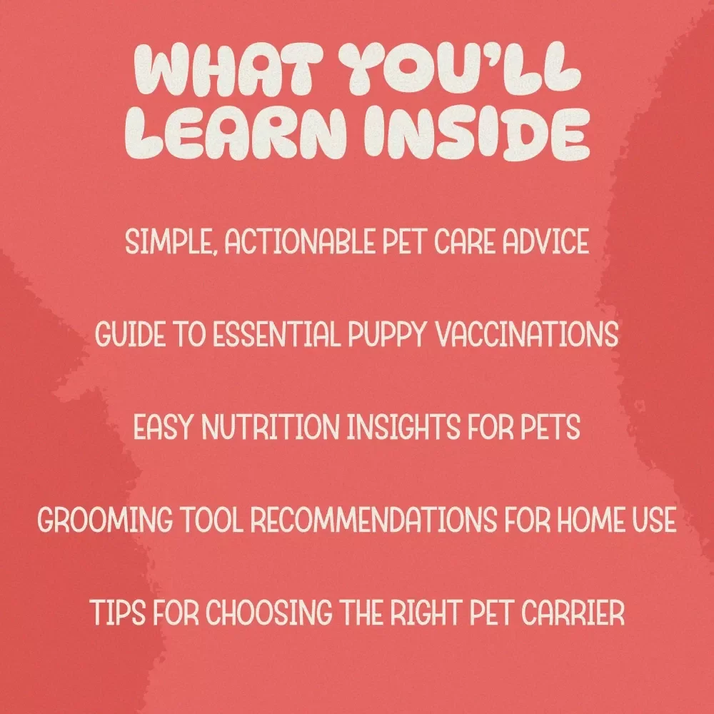 All-In Puppy and Kitten Care Toolkit - 5-in-1 Bundle for Pet Parents