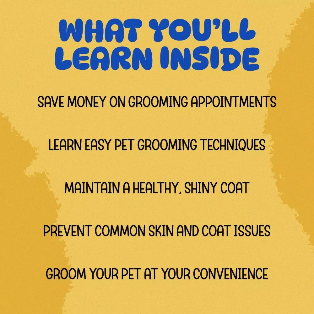 The At-Home Pet Grooming Starter Kit: A 3-in-1 Bundle for Basic Pet Grooming at Home