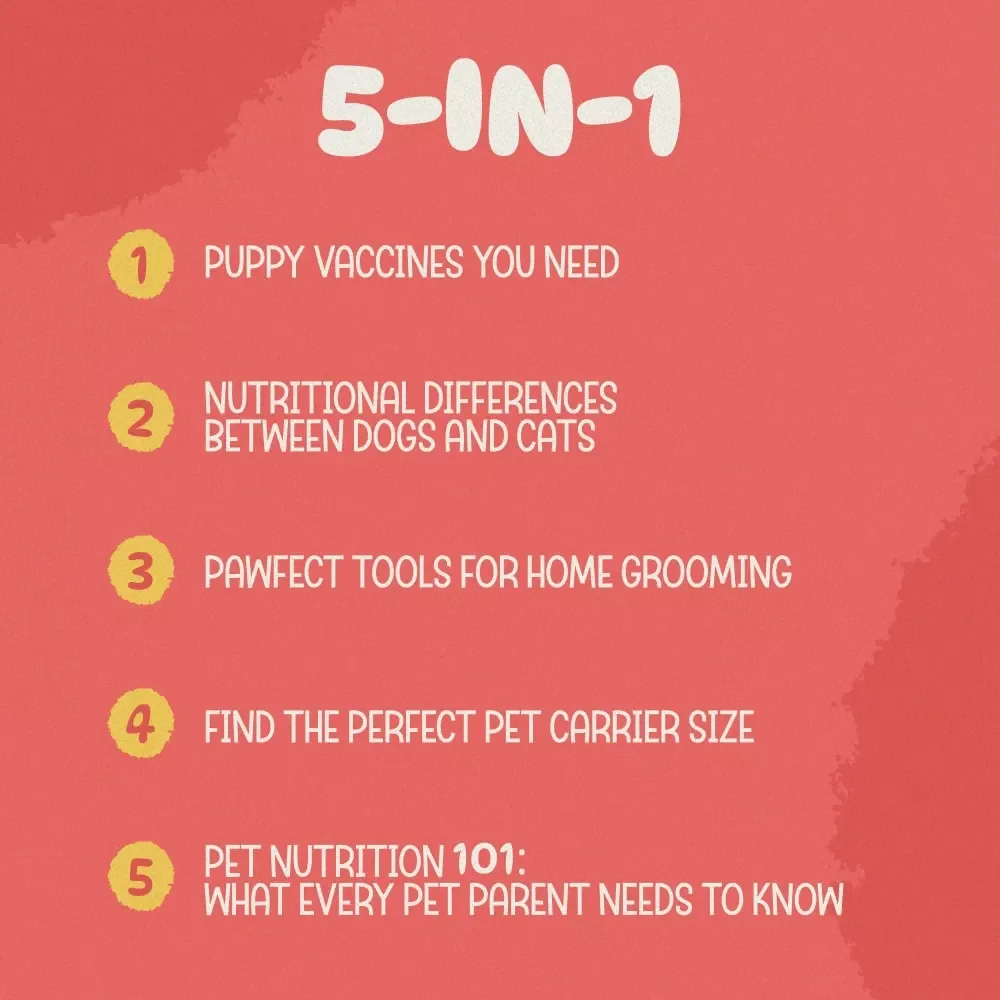 All-In Puppy and Kitten Care Toolkit - 5-in-1 Bundle for Pet Parents