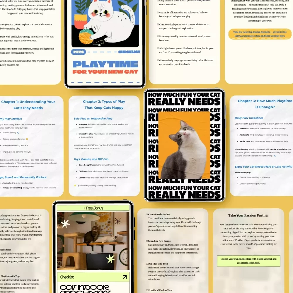 Ultimate Cat Play Pack for Endless Fun: How to Play with Cats eBooks, Guides & Checklists