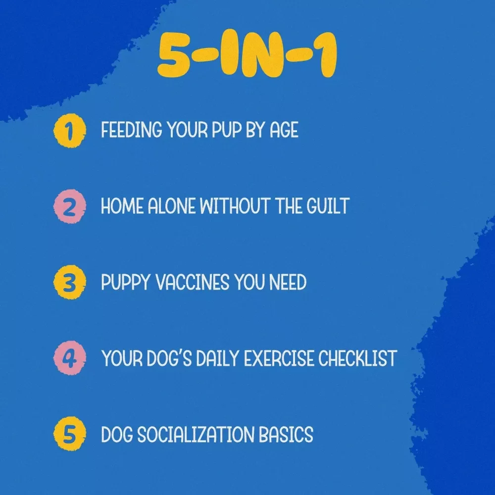 The Everyday Puppy Care Bundle: 5-in-1 Guides, eBook & Checklist for Taking Care of a Puppy