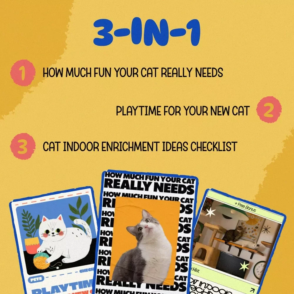 Ultimate Cat Play Pack for Endless Fun: How to Play with Cats eBooks, Guides & Checklists