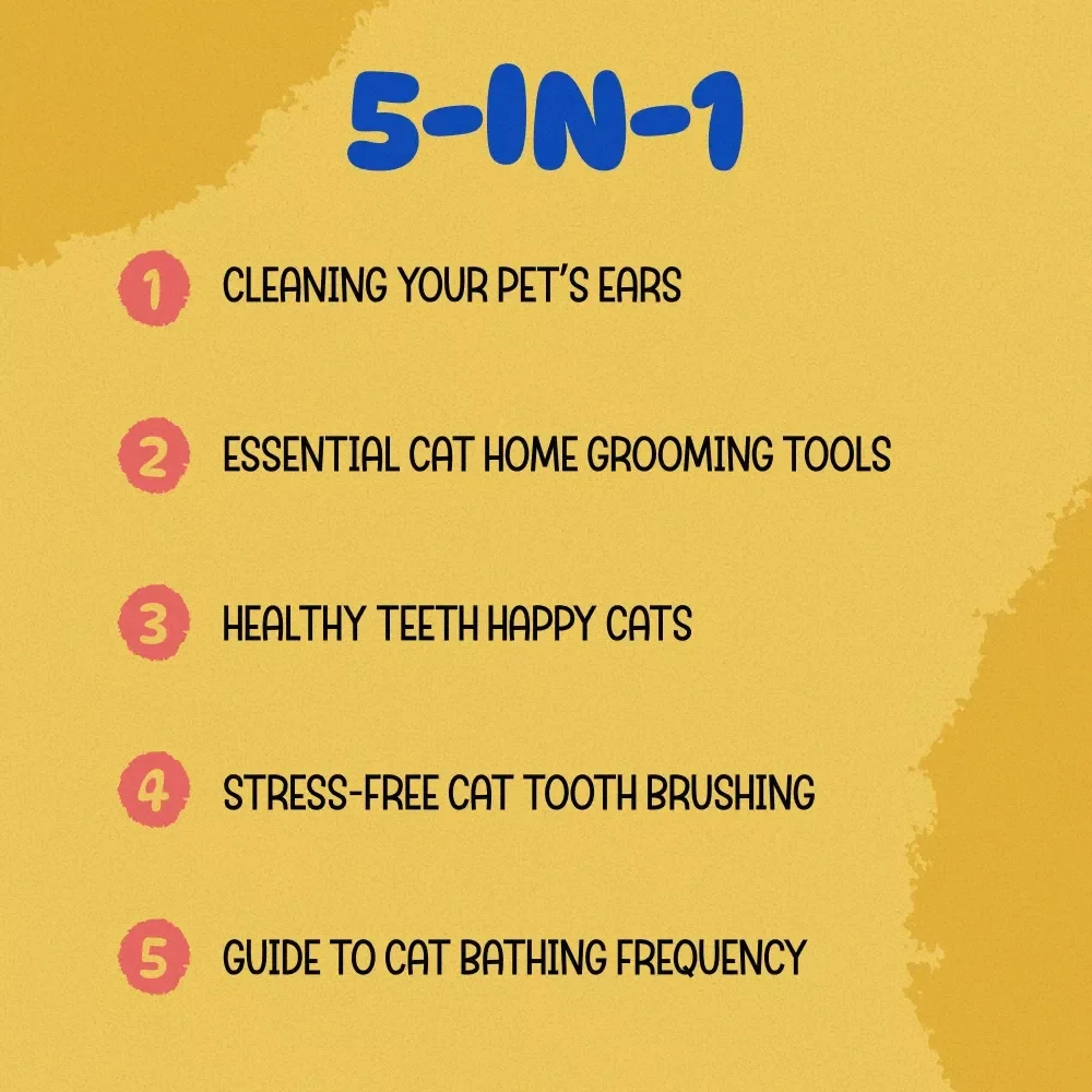 Cat Hygiene Maintenance Pack: 5-in-1 Bundle of eBooks & Checklists for Your Feline