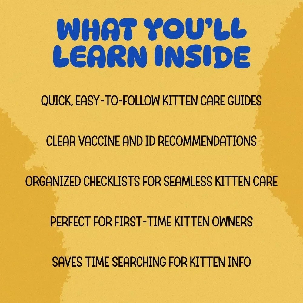 The First Weeks Kitten Bundle Handbook - 4-in-1 Digital Downloads for New Kitten Owners