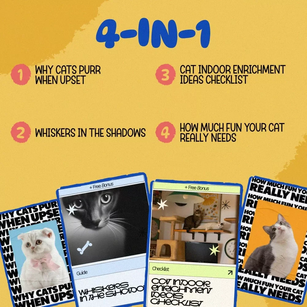 Complete Cat Raising Bundle from Kitten to Adult: Guides, eBooks & Checklists