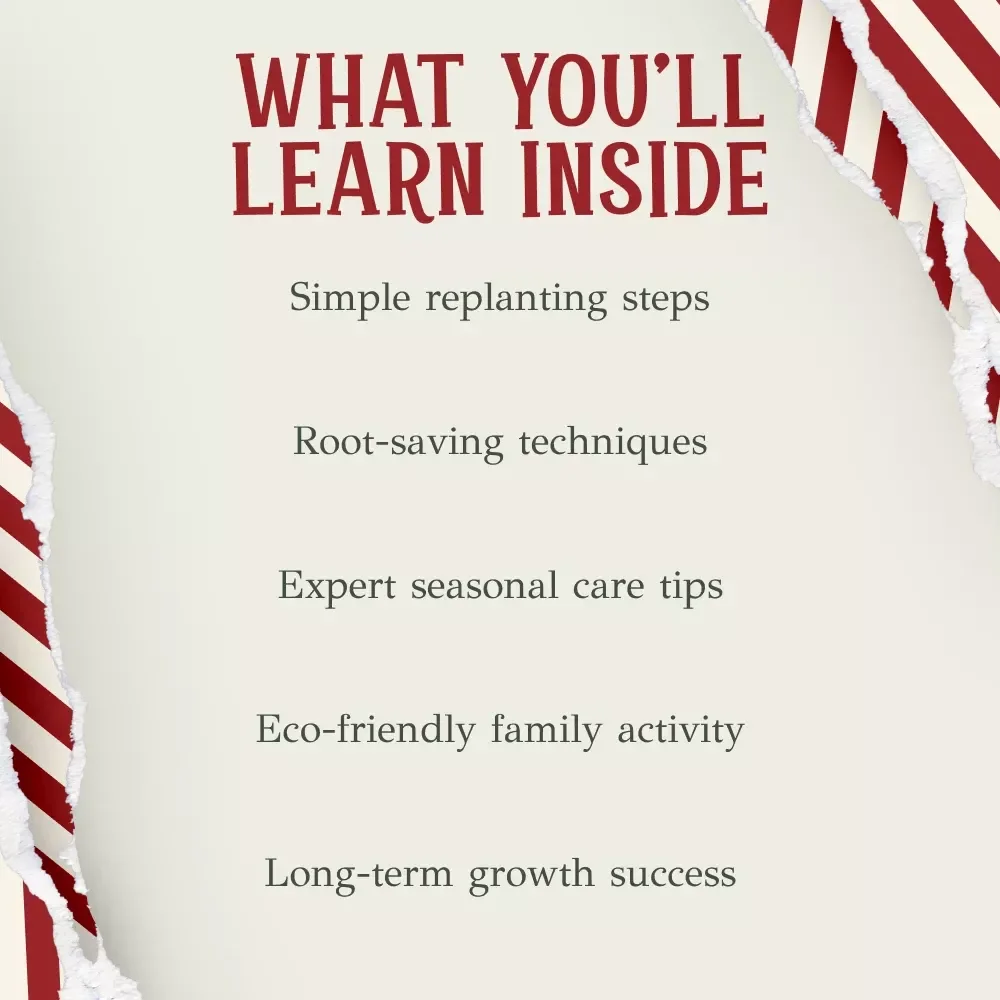 How to Replant and Revive Your Christmas Tree | Digital Guide for Tree Lovers | Eco-Friendly eBook on How to Replant a Christmas Tree After the Holidays | Sustainable Gardening & Winter Care Tips
