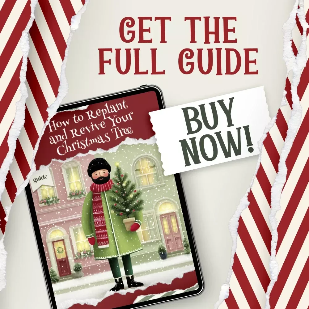 How to Replant and Revive Your Christmas Tree | Digital Guide for Tree Lovers | Eco-Friendly eBook on How to Replant a Christmas Tree After the Holidays | Sustainable Gardening & Winter Care Tips