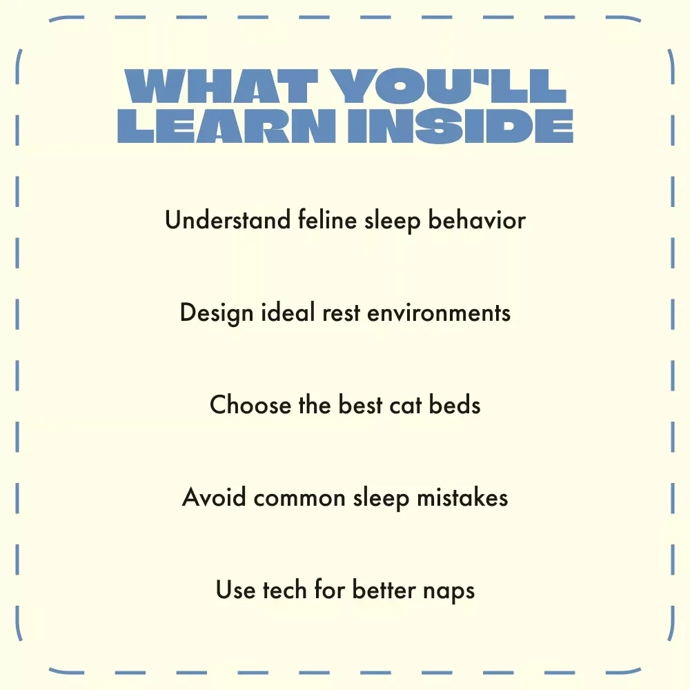 Catnap Haven: Choosing Your Cat’s Ideal Sleeping Spot | Ultimate Guide to the Best Place for a Cat to Sleep | Digital eBook for Cat Lovers