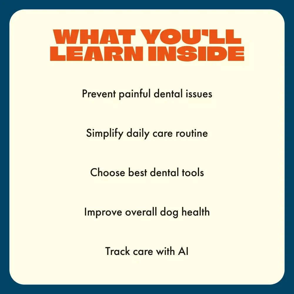 Pearly Paws: The Ultimate Guide to Healthy Dog Teeth – How to Care for Dog Teeth eBook, Checklist & Expert Tips for Daily Dental Care