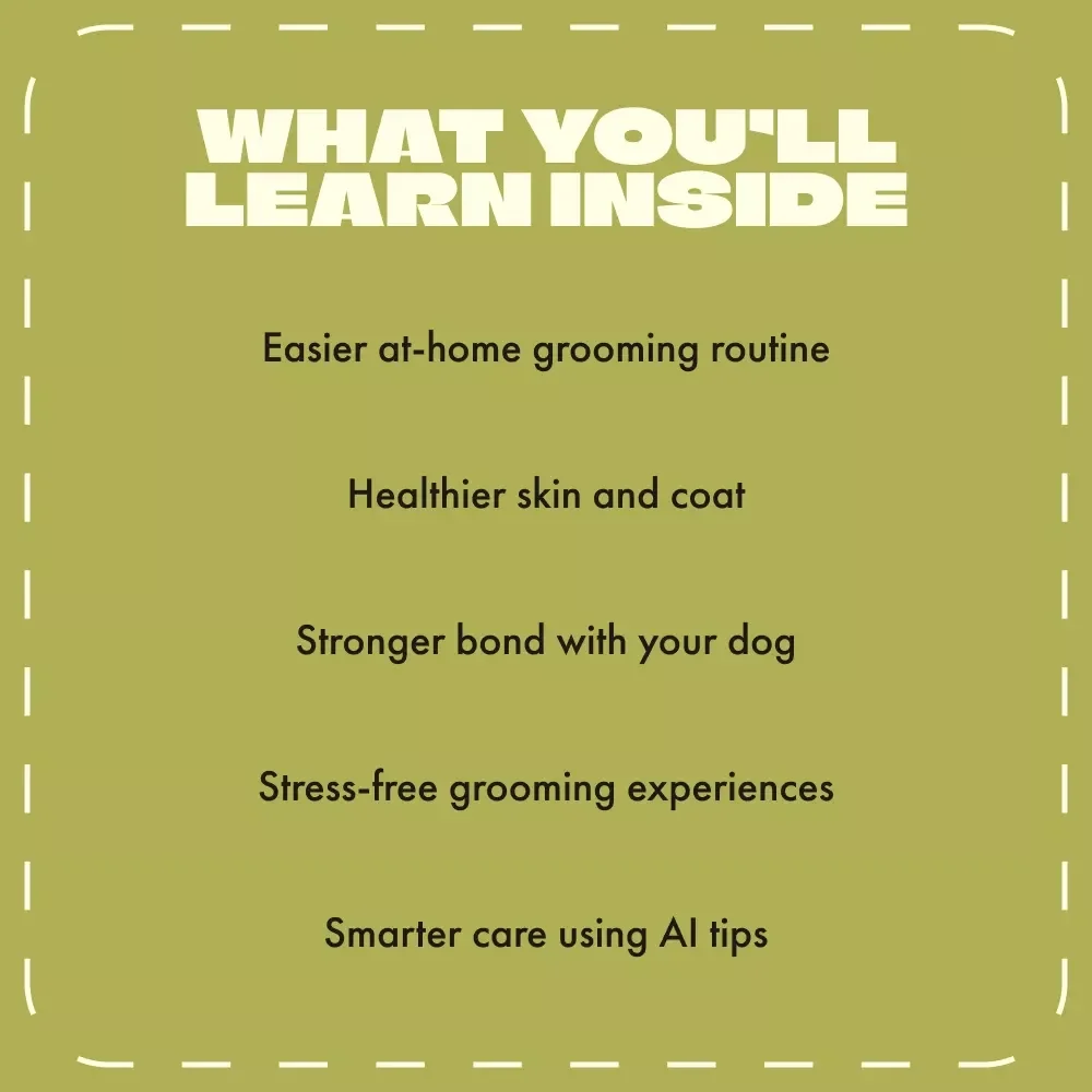 Pawfectly Groomed: Your Go-to Dog Grooming Guide | Digital Dog Grooming Basics eBook for Pet Owners | Easy Grooming Routine, Tools & Techniques for a Happy, Healthy Pup