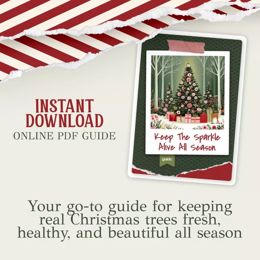 Keep the Sparkle Alive All Season | How to Keep Christmas Tree Alive | Holiday Tree Care Digital Guide for Freshness, Hydration & Lasting Magic