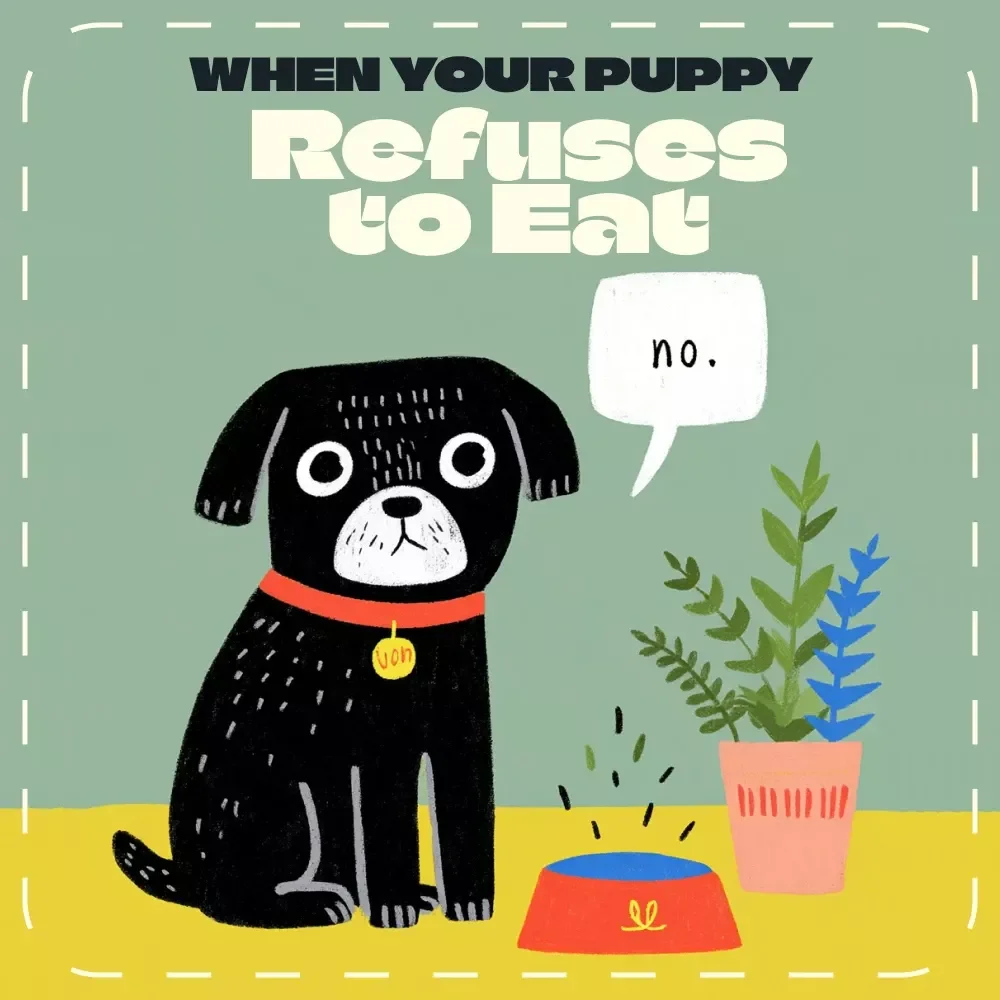 When Your Puppy Refuses to Eat | Puppy Feeding Guide, Appetite Loss Help, Digital Download, eBook for Dog Owners, AI Puppy Feeding Plan Tips