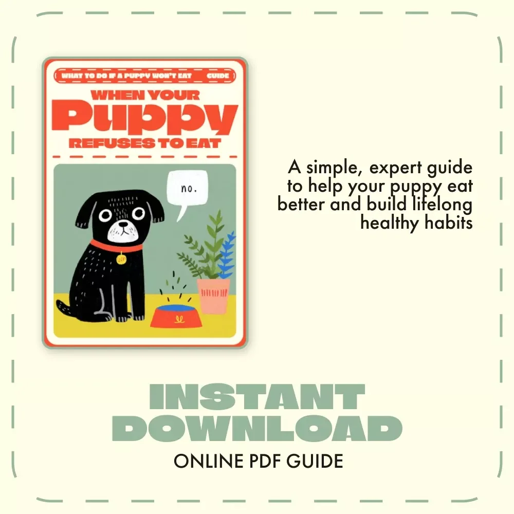 When Your Puppy Refuses to Eat | Puppy Feeding Guide, Appetite Loss Help, Digital Download, eBook for Dog Owners, AI Puppy Feeding Plan Tips
