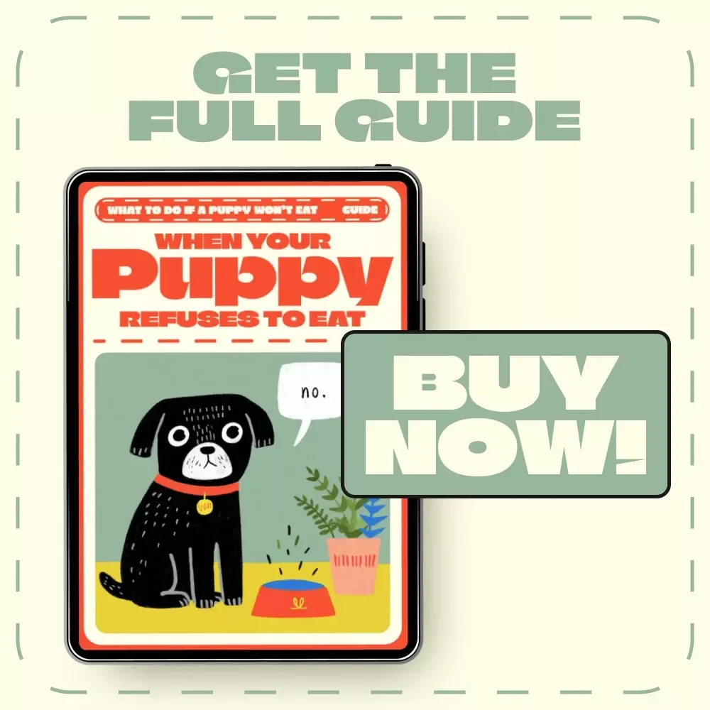 When Your Puppy Refuses to Eat | Puppy Feeding Guide, Appetite Loss Help, Digital Download, eBook for Dog Owners, AI Puppy Feeding Plan Tips