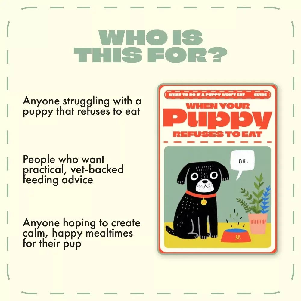 When Your Puppy Refuses to Eat | Puppy Feeding Guide, Appetite Loss Help, Digital Download, eBook for Dog Owners, AI Puppy Feeding Plan Tips