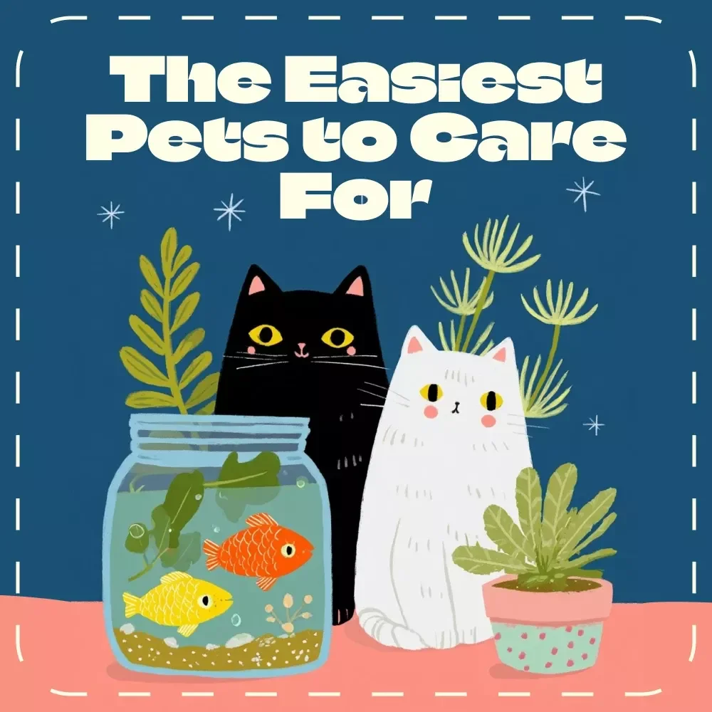 Paws, Scales & Feathers: The Easiest Pets to Love and Care For | Low-Maintenance Pet eBook Guide | Discover What Pet Is Easiest to Care For | Digital Download for Beginners and Families