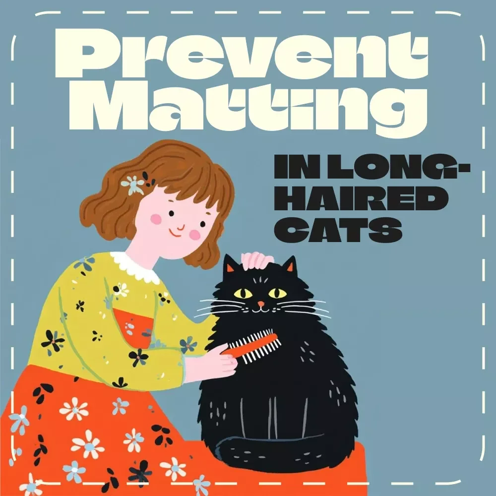 How to Prevent Matting in Long-Haired Cats | Digital Download Guide & Grooming Checklist for Cat Owners | Feline Coat Care eBook for Soft, Healthy, Mat-Free Fur
