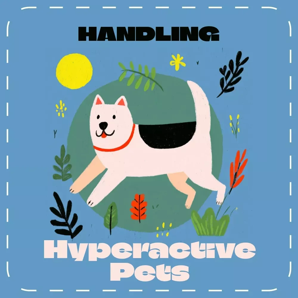 The Smart Guide to Handling Hyperactive Pets | eBook for Pet Owners | Tips for Handling Hyperactive Pets, Behavior Management & Calm Training Strategies